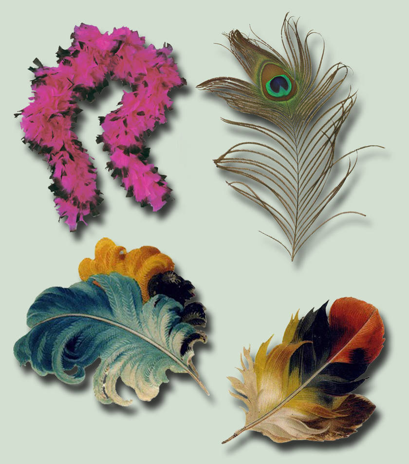 Feathers Pack psd by ravenarcana on DeviantArt