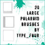 20 large size polaroid brushes