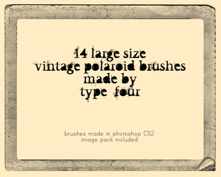 vintage polaroid brushes