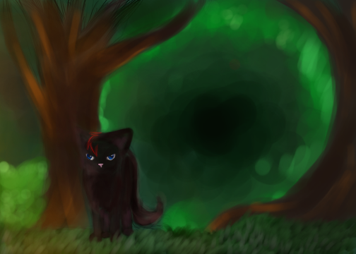 cat in the woods