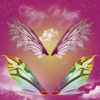 Fairy Wings 1