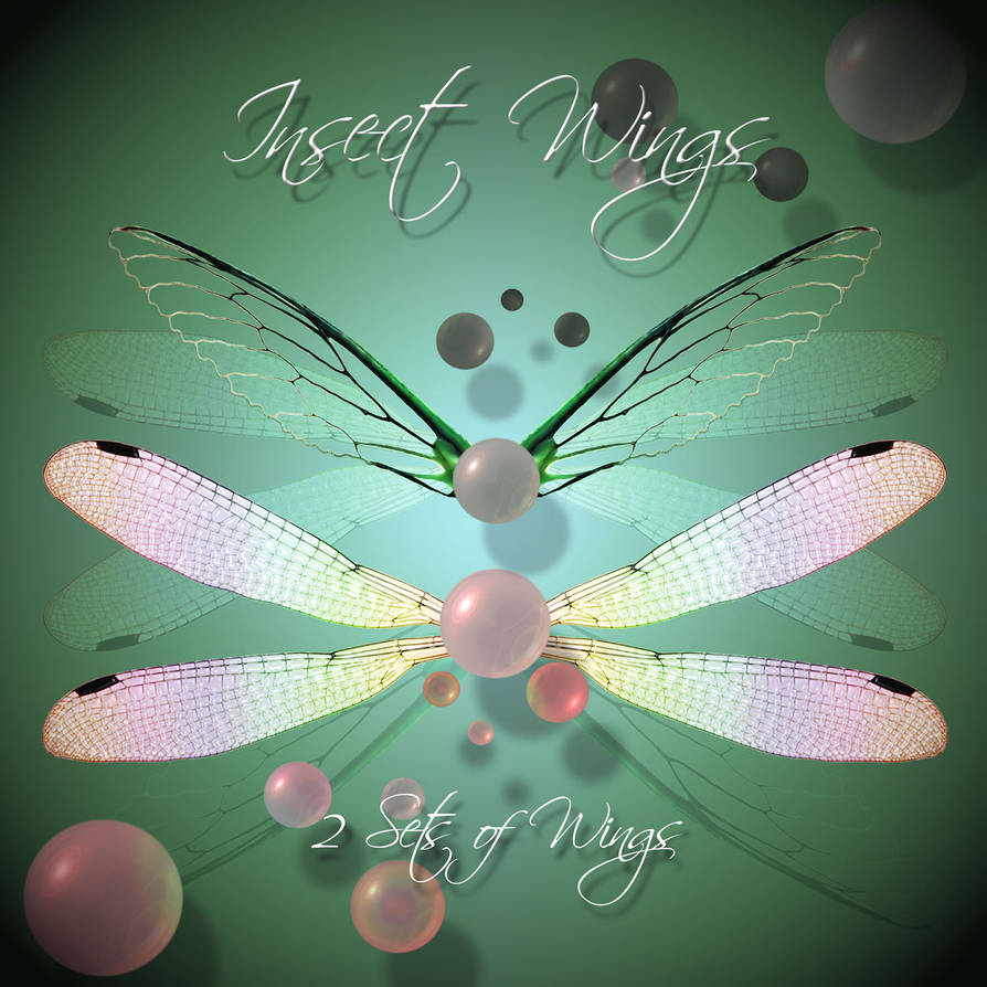 Insect Wings 1 by cocacolagirlie on DeviantArt