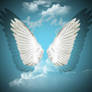 Angelwings 2