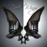 Dark Wings 2