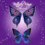 Butterfly Wings 1-2