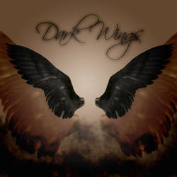 Dark Wings 1-2