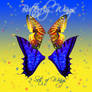 Butterfly Wings 8-2