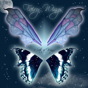 Fairy Wings 2-2