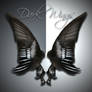 Dark Wings 2-2