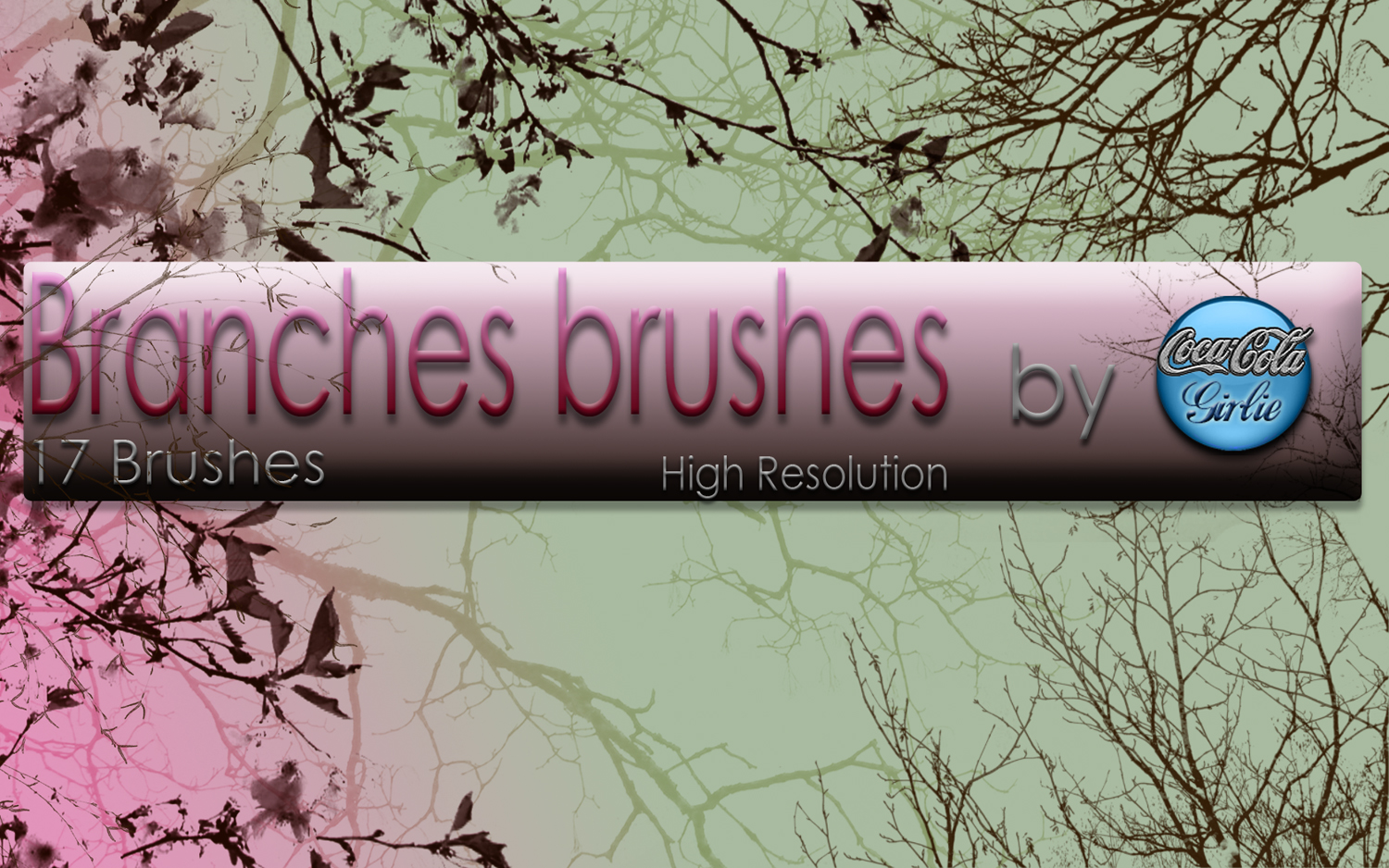 Branches Brushes