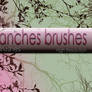 Branches Brushes