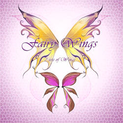 Fairy Wings 5
