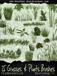 Grasses N Plants GIMP Brushes