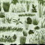 Grasses N Plants GIMP Brushes