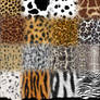 GIMP Animal Prints Brushes