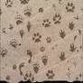 GIMP Animal Tracks Brushes