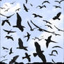 GIMP Flying Birds Brushes