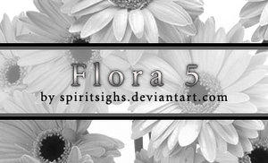 Spiritsighs Floral Brushes