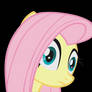 Fluttershy