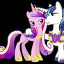 Cadence and Shining Armor