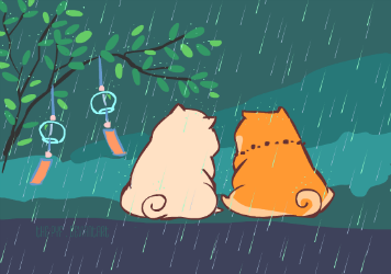 Rain