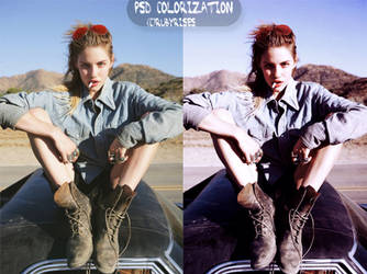 06 PSD Colorization