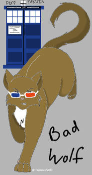 Doctor Who Cat (10)