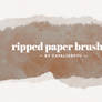 Ripped Paper Brushes