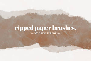 Ripped Paper Brushes