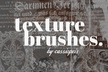 Texture Brushes - ancient book text and art