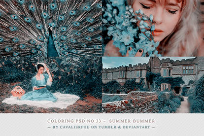 Psd #33 - Summer Bummer