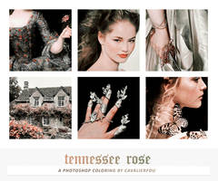 TENNESSEE ROSE (coloring)