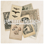 Vintage Picture Frame, transparent png pack