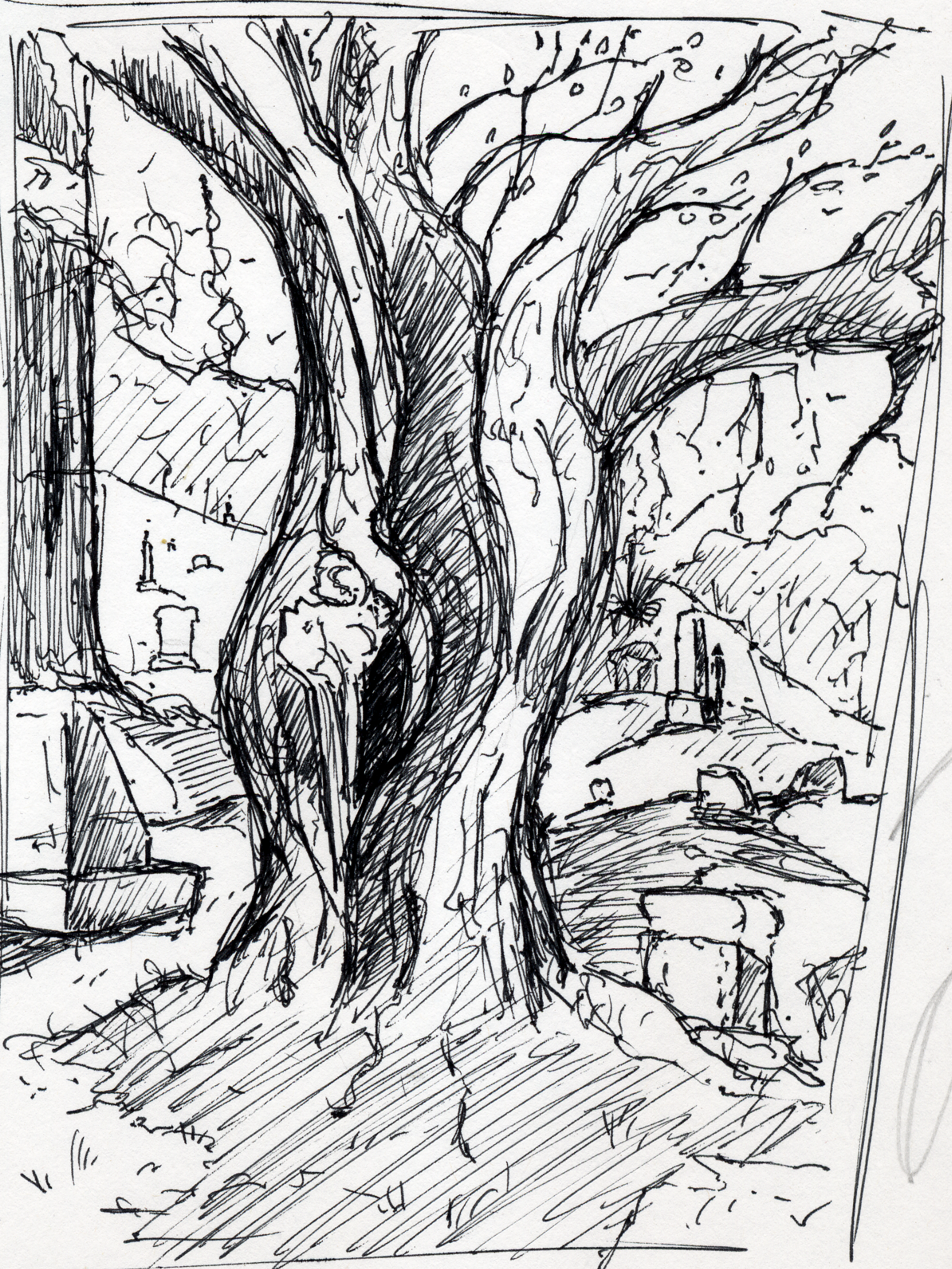 V tree sketch