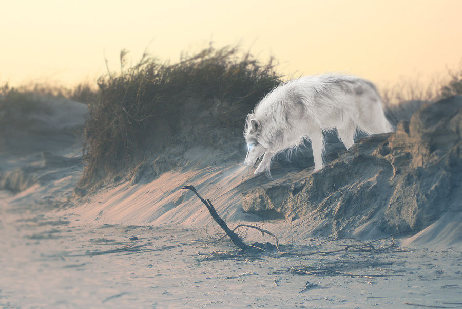 Lips of an Angel by Choax on DeviantArt