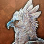 Harpy Eagle