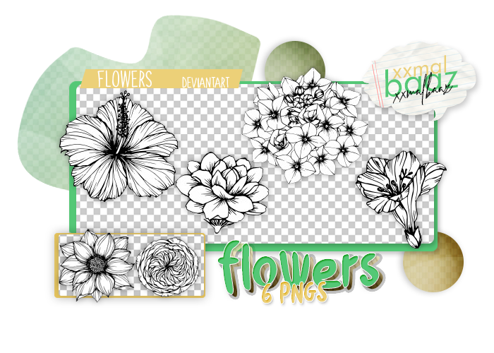 Flowers Png Pack by xxmalbaaz on DeviantArt