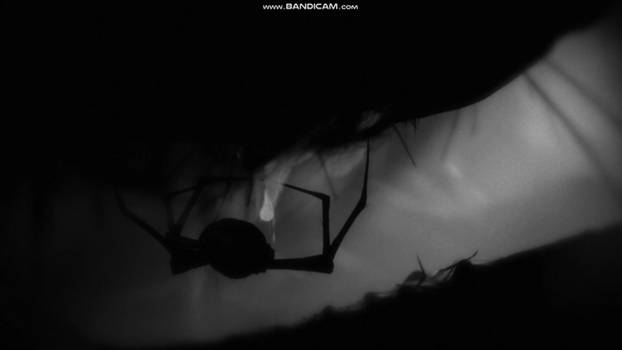 Limbo: Wrapped in the web