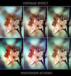 Vintage Effect - Ps Actions - by photoshop-stock