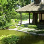 Japanese Garden Image Pack