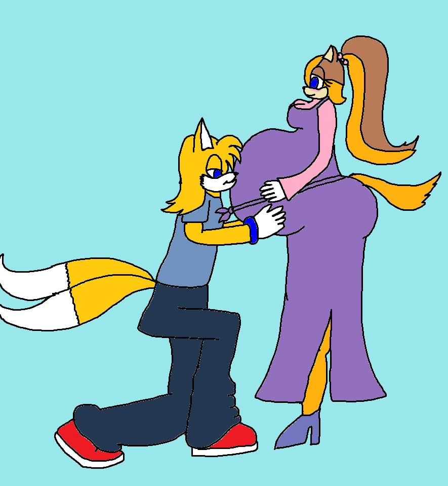 .:GA:. (PREGNANT SONIC COUPLE) Tails and Sticks