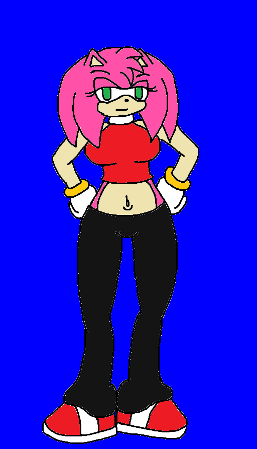 FA: Amy Rose The Hedgehog by Ant-D on DeviantArt