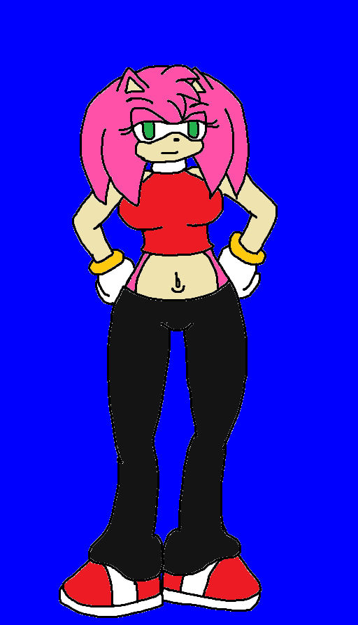 FA: Amy Rose The Hedgehog by Ant-D on DeviantArt