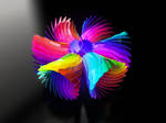 Colorful Flower