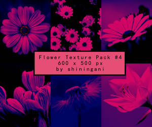 Flower Texture Pack #4