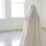bride completely covered with a sheet