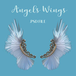 Angel Wings Stock