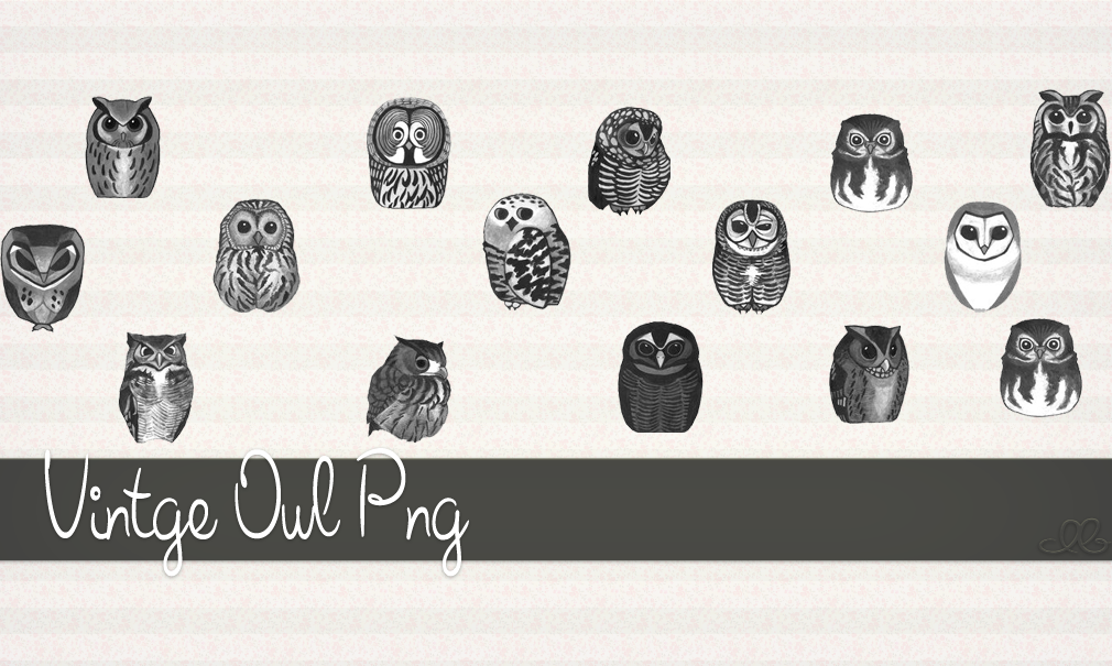 Vintage Owl Pngz