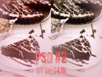 [PSD] PSD Coloring #2