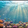 Under the Sea  
